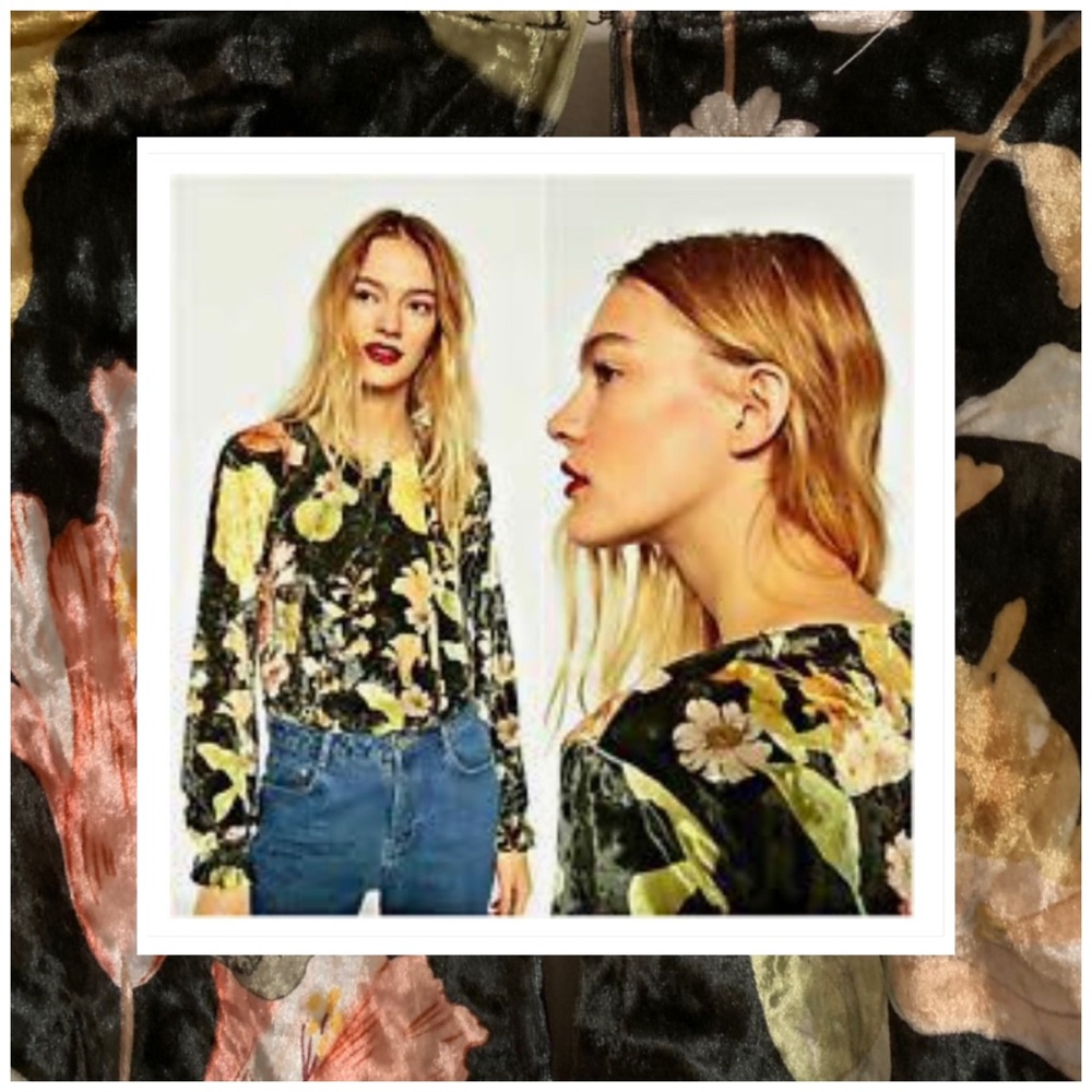 🌿EUC Zara Floral Palm Green Velour Bodysuit Sm🌿